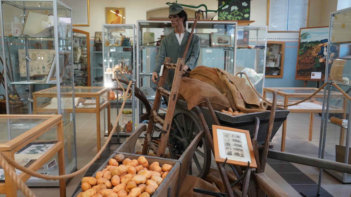 Deutsches Kartoffelmuseum in Fußgönheim