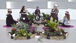 Ausstellung „The Senses of Plants“ – Die Sinne der Pflanzen in der Villa Merkel Esslingen