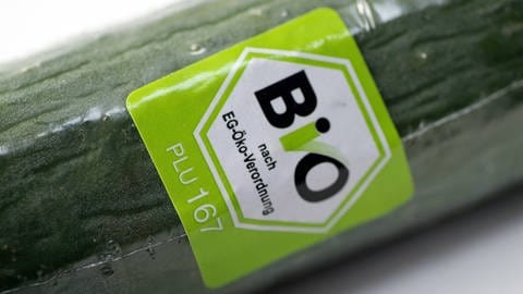 Salatgurke mit Bio-Siegel in Plastikfolie