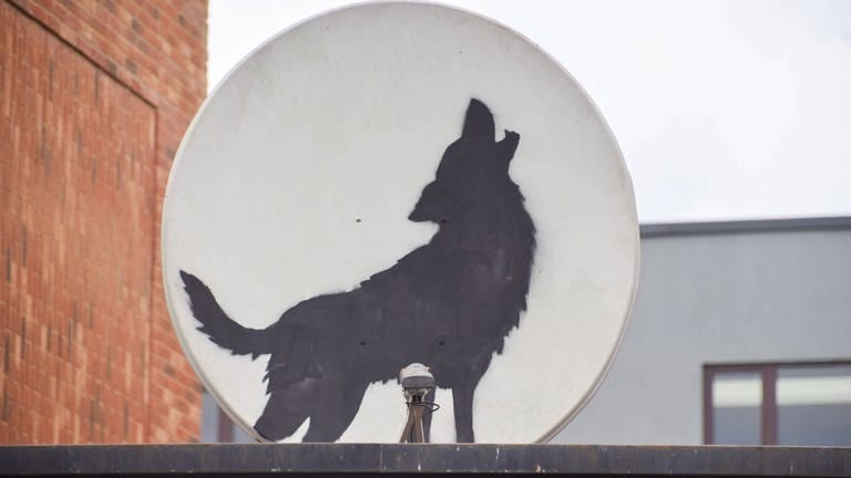 08.08.2024 - Banksy Kunstwerk eines heulenden Wolfes taucht an einer Satellitenschüssel in Peckham auf.