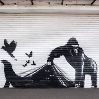 13.08.2024 – Banksy Kunstwerk eines Gorillas, einer Robbe und Vögeln taucht an einem Fensterladen des Londoner Zoos auf.