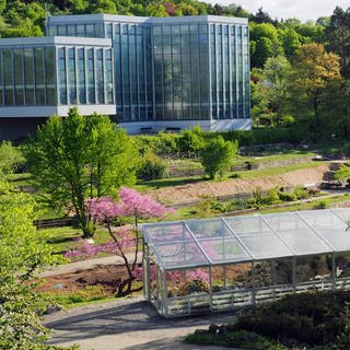 Ansicht des botanischen Garten der Uni Tübingen