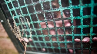 Gesicht und Hände einer Frau hinter Gittern.