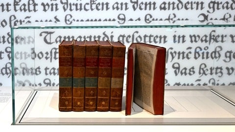 Exponate der Interimsausstellung des Gutenberg-Museums: Bände der "Allgemeinen Encyclopädie der Wissenschaften und Künste" von Ersch und Gruber