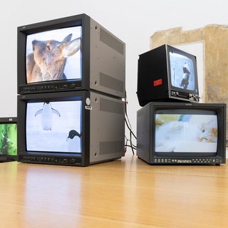 Intervention Videoinstallation