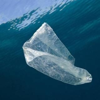 Eine Plastiktüte schwimmt im Meer