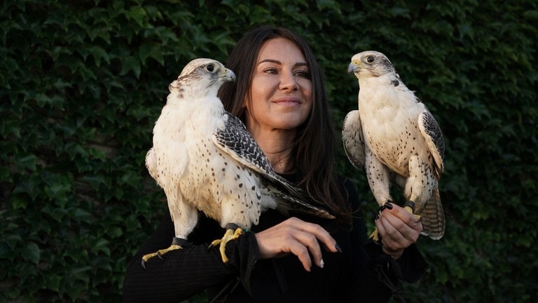 Vanessa Müller, Falknerin