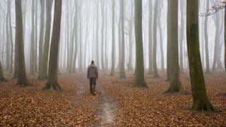 Junger Mann auf einem Waldweg