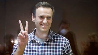 Alexej Nawalny, russischer Oppositionsführer, zeigt das Peace-Zeichen, während er in einem Käfig im Bezirksgericht Babuskinskij steht.