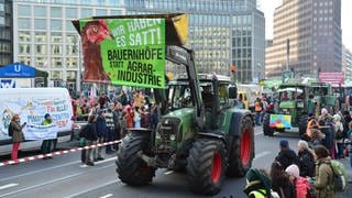  Demonstration gegen die Agrarindustrie unter dem Motto "Wochenmarkt statt Weltmarkt" - Gesundes Essen und gesunde Landwirtschaft-Bauernhöfe statt Agrarindustrie.