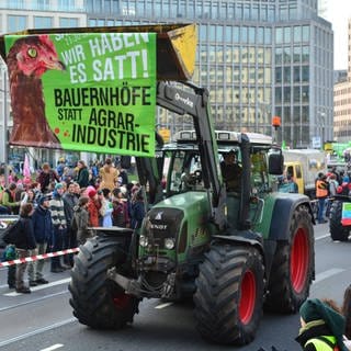  Demonstration gegen die Agrarindustrie unter dem Motto "Wochenmarkt statt Weltmarkt" - Gesundes Essen und gesunde Landwirtschaft-Bauernhöfe statt Agrarindustrie.