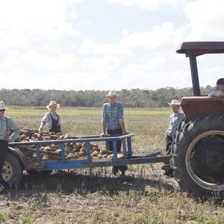 Mennoniten in Südmexiko bei der Ernte