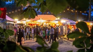 Impressionen aus dem Heinepark zum 29. Rudolstadt Festival 2019