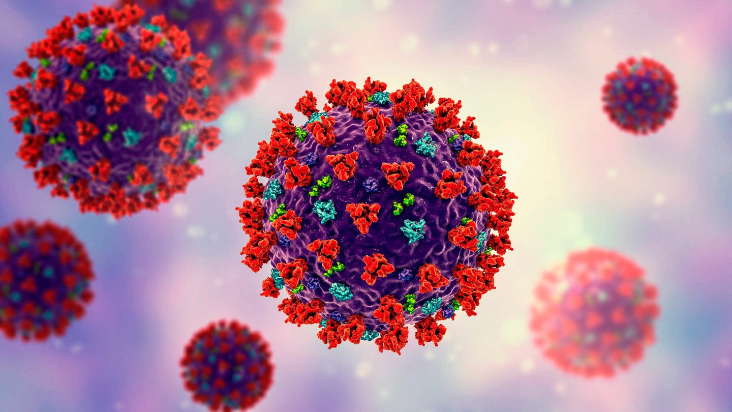 Abbildung von Coronavirus-Partikeln