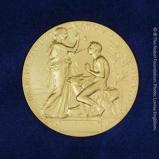Literatur Nobelpreis Medaille Rückseite