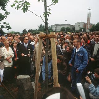 In Kassel wird am 13. Juni 1987 der letzte von 7000 Bäumen der von dem Kunstprofessor Joseph Beuys vor fünf Jahren initiierten "Stadtverwaldung" gepflanzt.