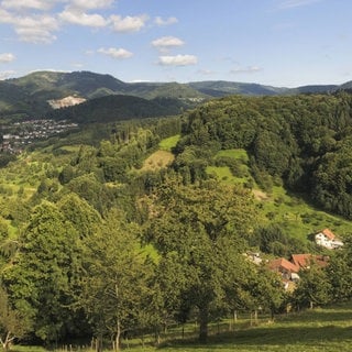 Aussicht auf Ottenhöfen im Achertal, Schwarzwald, Baden-Württemberg, Deutschland