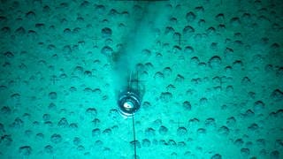 HANDOUT - Manganknollen werden am Meeresboden in einer Tiefe von mehreren tausend Metern im Pazifik untersucht (Foto vom 18.10.2004).
