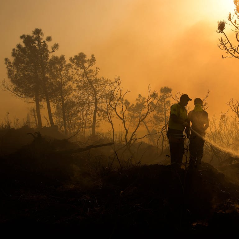 Feuerwehrleute versuchen einen Waldbrand in Beykoz, einem Vorort von Istanbul, zu löschen. (Foto: picture-alliance / Reportdienste, picture alliance/dpa/AP | Emrah Gurel)