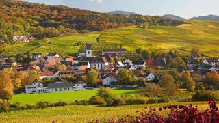 Blick auf Pfaffenweiler