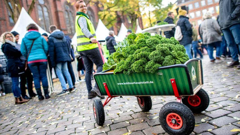 Bilder zum Kraut 