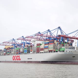 Containerschiffe und Laufkatze im Hamburger Hafen