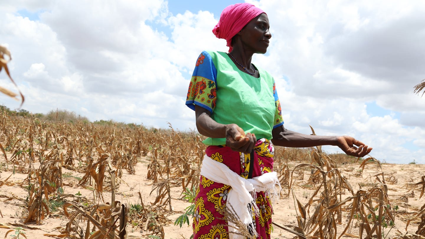 Afrikanische Frau in einem verdorrten Maisfeld.