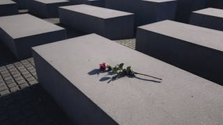 Rote Rose auf dem Holocaust-Mahnmal in Berlin
