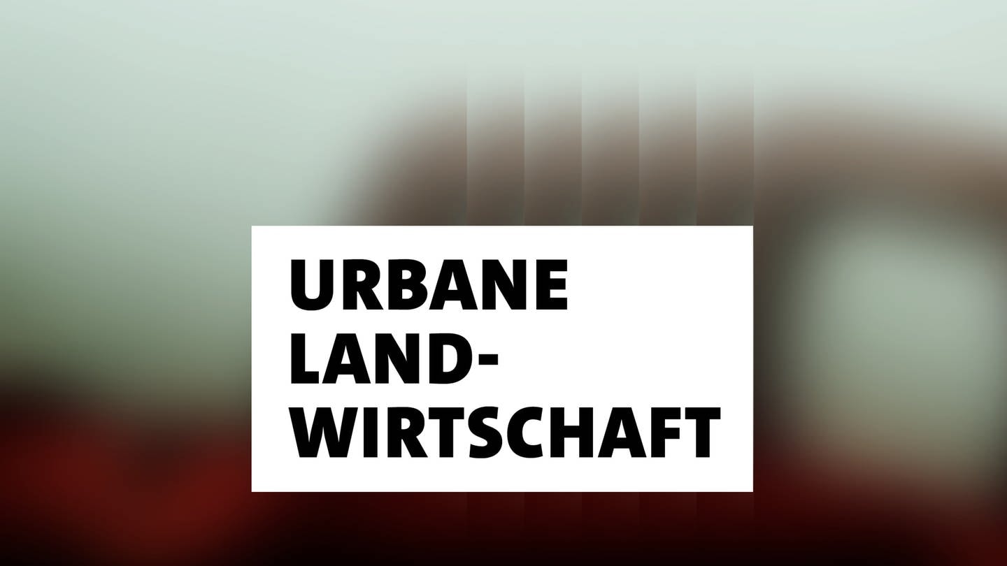 Wort der Woche: Urbane Landwirtschaft