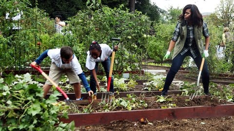 Michaelle Obama und Grundschüler arbeiten im Gemüsegarten des Weißen Hauses