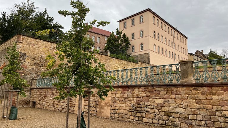 Barocker Terrassengarten in Kirchheimbolanden.