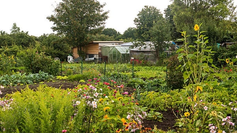 Schrebergarten im Norden