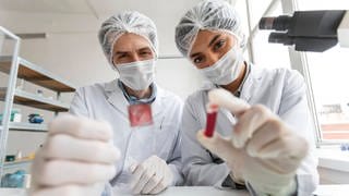 Wissenschaftler untersuchen Krankheiten