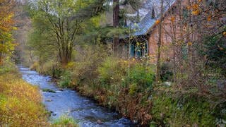 Selketal Forsthaus Drahtzug Selketal-Stieg Harz