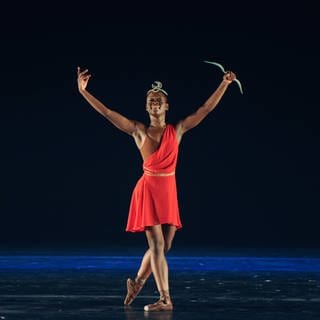 Michaela Mabinty DePrince war eine US-amerikanische Balletttänzerin. Sie verstarb im Alter von 29 Jahren.