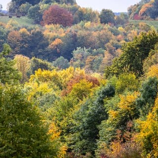 Herbst auf der Schwäbischen Alb.