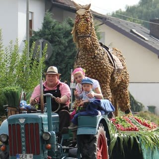 Der Zwewwelhengst ist das Wahrzeichen des Festes. Zwiebelfest in Zeiskam.