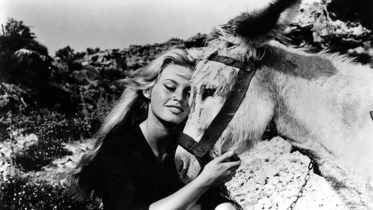 Brigitte Bardot in einer Filmszene mit einem Esel