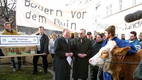 Landwirte demonstrieren mit Kuh und Bannern