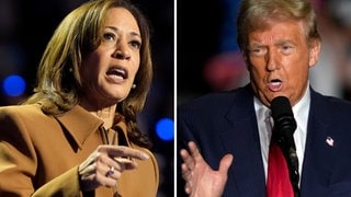 Diese Bildkombo aus Archivfotos zeigt die demokratische US-Präsidentschaftskandidatin Kamala Harris bei einer Wahlkampfveranstaltung in Kalamazoo 