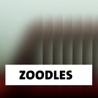 Wort der Woche: Zoodles