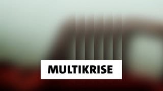 Wort der Woche: Multikrise