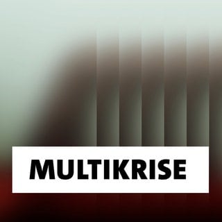 Wort der Woche: Multikrise