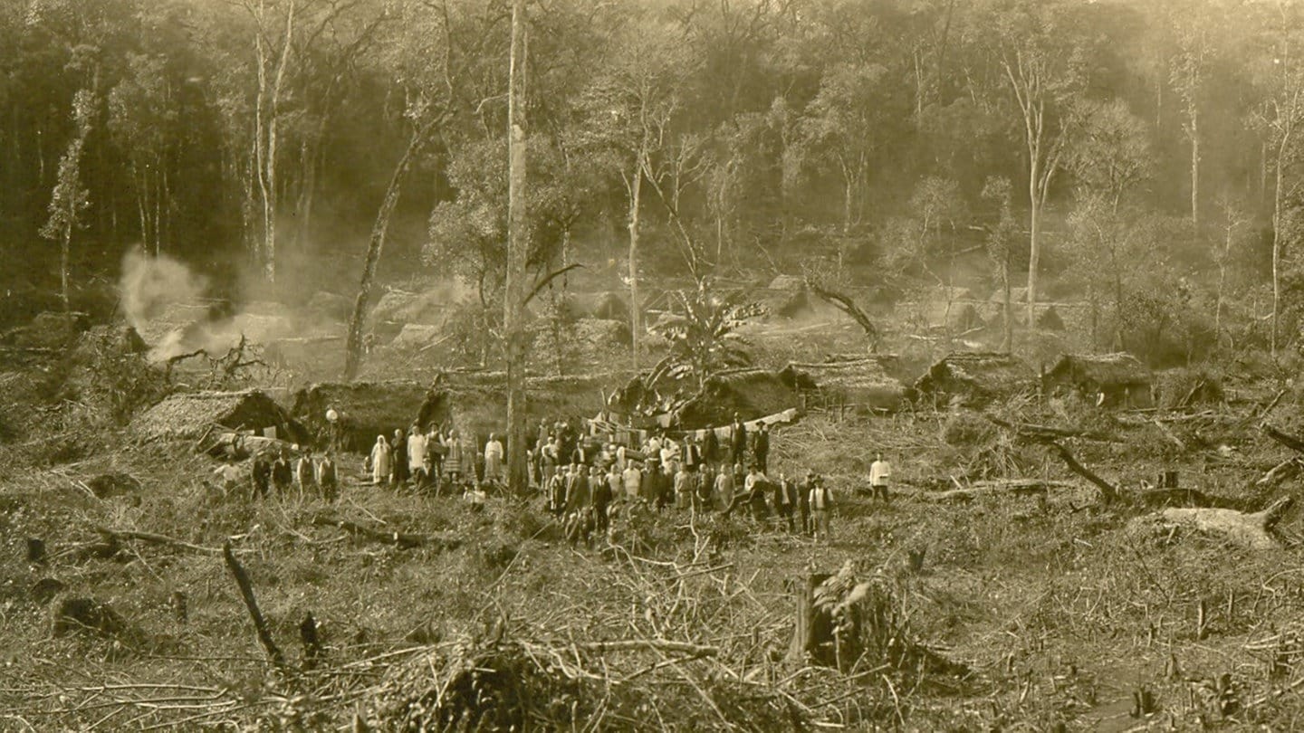 Schwarz-Weiß-Foto deutsche Siedler roden den brasilianischen Regenwald