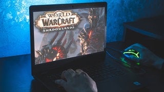 das Videospiel „World of Warcraft“ 