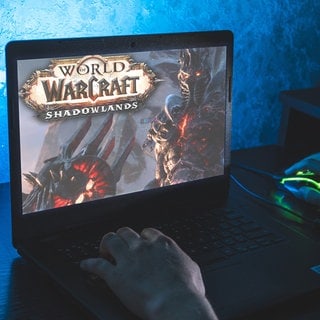 das Videospiel „World of Warcraft“ 