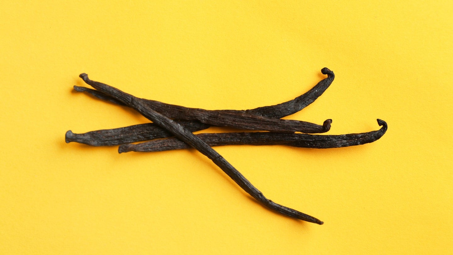 Bunch of aromatic vanilla sticks on yellow background Model Released