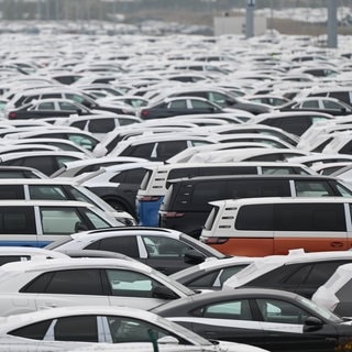 Blick auf einen der zahlreichen Auto-Transport Lagerplätze im Emder Hafen