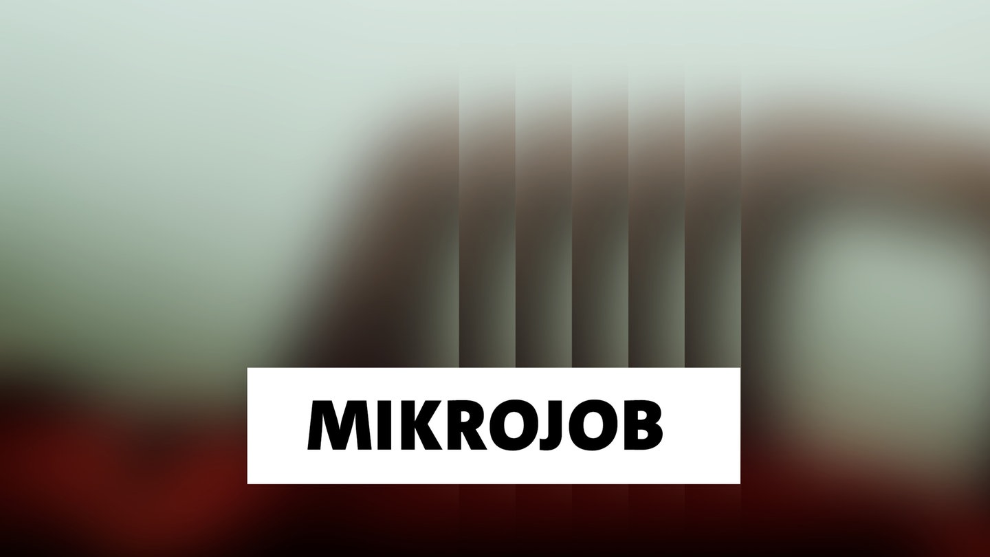 Wort der Woche: Mikrojob