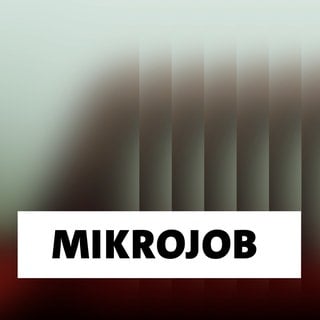 Wort der Woche: Mikrojob